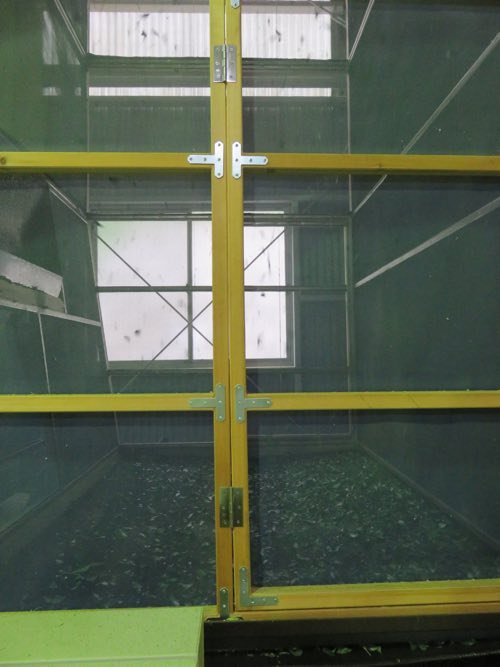 A granite grinding stone slowly turning Tencha into fine ceremonial matcha powder