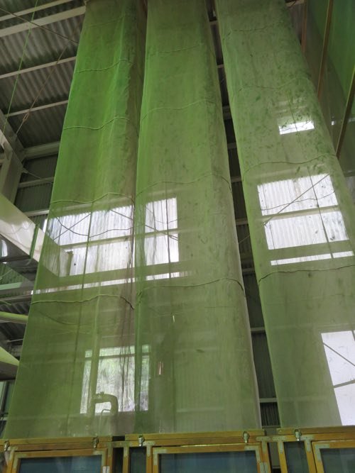 Tencha stored in climate-controlled warehousing to preserve flavour and colour